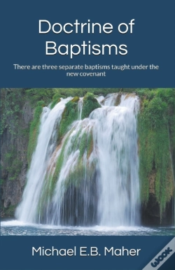 Capa do artigo Doctrine Of Baptisms