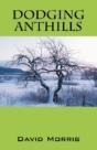 Dodging Anthills - Preview