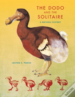 Capa do artigo Dodo And The Solitaire
