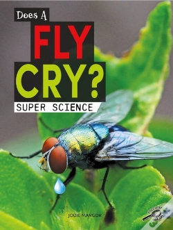 Capa do artigo Does A Fly Cry?