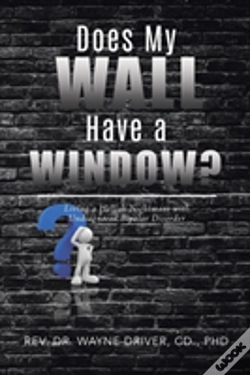 Capa do artigo Does My Wall Have A Window?