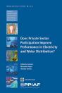 Does Private Sector Participation Improve Performance In Electricity And Water Distribution? - Preview