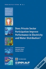 Capa do artigo Does Private Sector Participation Improve Performance In Electricity And Water Distribution?