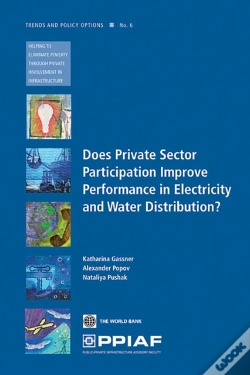 Capa do artigo Does Private Sector Participation Improve Performance In Electricity And Water Distribution?
