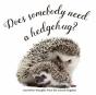 Does Somebody Need A Hedgehug? - Preview