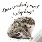 Does Somebody Need A Hedgehug?