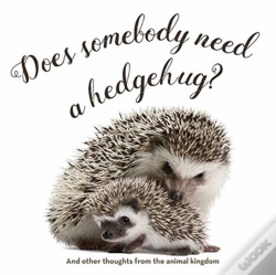 Capa do artigo Does Somebody Need A Hedgehug?