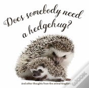 Capa do artigo Does Somebody Need A Hedgehug?
