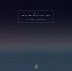 Capa do artigo Does Spring Hide Its Joy (Feat. Stephen O'Malley & Lucy Railton) - CD