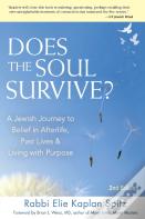 Does The Soul Survive? (2nd Edition)