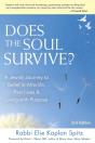 Does The Soul Survive? (2nd Edition) - Preview
