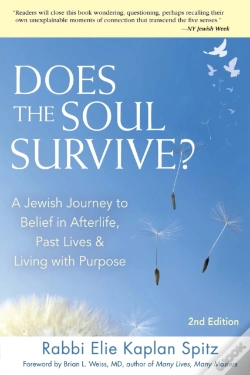 Capa do artigo Does The Soul Survive? (2nd Edition)