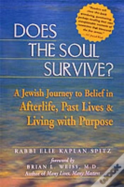 Capa do artigo Does The Soul Survive?
