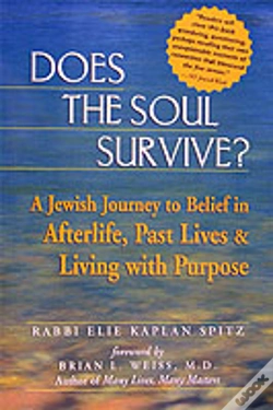 Capa do artigo Does The Soul Survive?