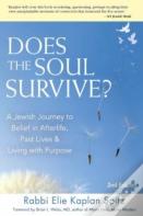Does The Soul Survive?