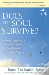 Does The Soul Survive?