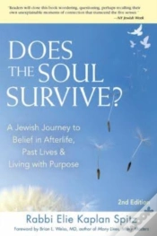 Capa do artigo Does The Soul Survive?