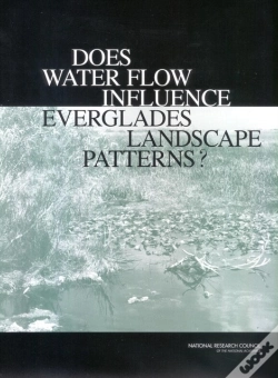 Capa do artigo Does Water Flow Influence Everglades Landscape Patterns?