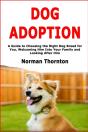 Dog Adoption: A Guide To Choosing The Ri - Preview