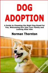 Dog Adoption: A Guide To Choosing The Ri