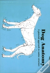 Capa do artigo Dog Anatomy