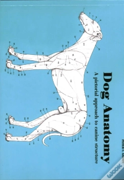 Capa do artigo Dog Anatomy
