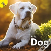 Capa do artigo Dog