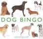 Dog Bingo - Preview