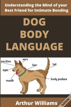 Capa do artigo Dog Body Language