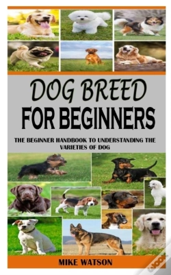 Capa do artigo Dog Breed For Beginners