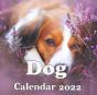 Dog Calendar 2022 - Preview