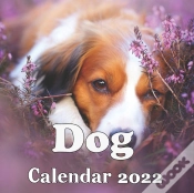 Capa do artigo Dog Calendar 2022