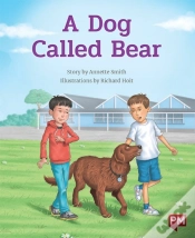 Capa do artigo Dog Called Bear