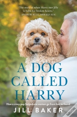 Capa do artigo Dog Called Harry