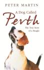Dog Called Perth - Preview