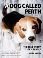 Dog Called Perth - Preview