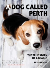 Capa do artigo Dog Called Perth