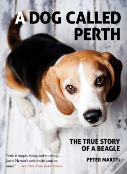 Capa do artigo Dog Called Perth