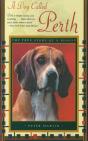 Dog Called Perth: The True Story Of A Beagle - Preview