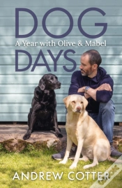 Capa do artigo Dog Days