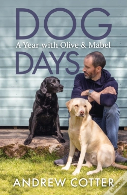 Capa do artigo Dog Days