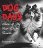 Dog Days - Preview