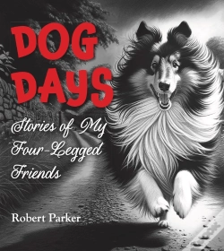 Capa do artigo Dog Days