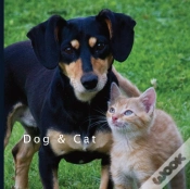 Capa do artigo Dog & Cat