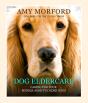 Dog Eldercare: Caring For Your Middle Aged To Older Dog - Preview