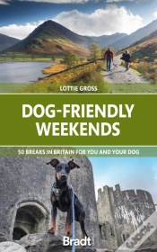 Capa do artigo Dog-Friendly Weekends