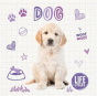 Dog - Preview