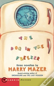 Capa do artigo Dog In The Freezer