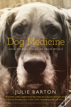 Capa do artigo Dog Medicine