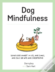 Capa do artigo Dog Mindfulness